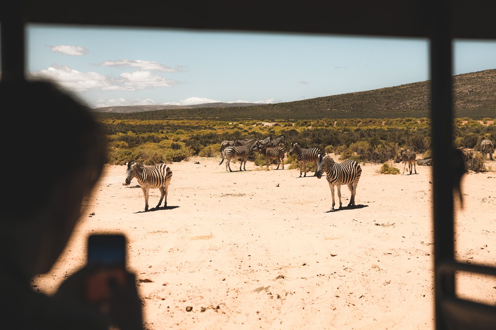 La Rose Productions Work