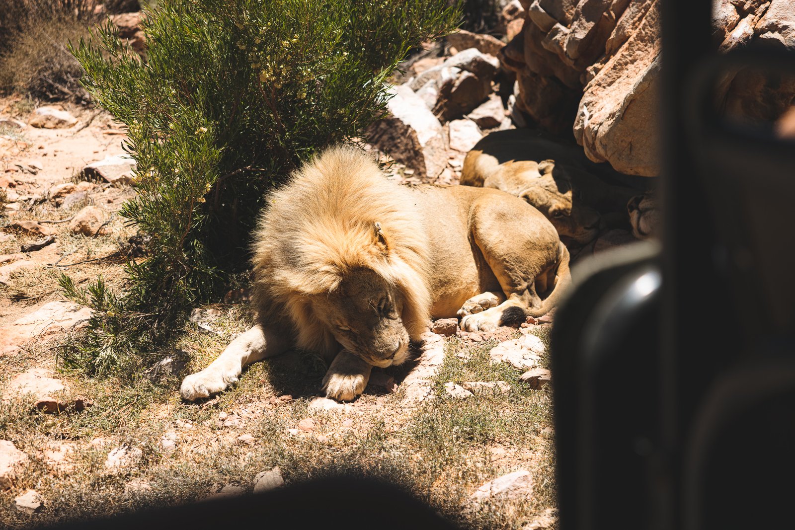 La Rose Productions Work